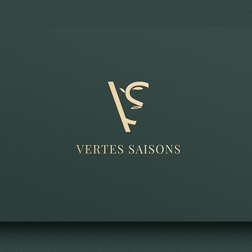 Logotipos propuesta en el concurso por e.lisa