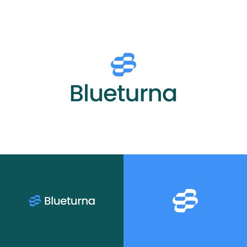 Blueterna Branding contest Design by Yantoagri