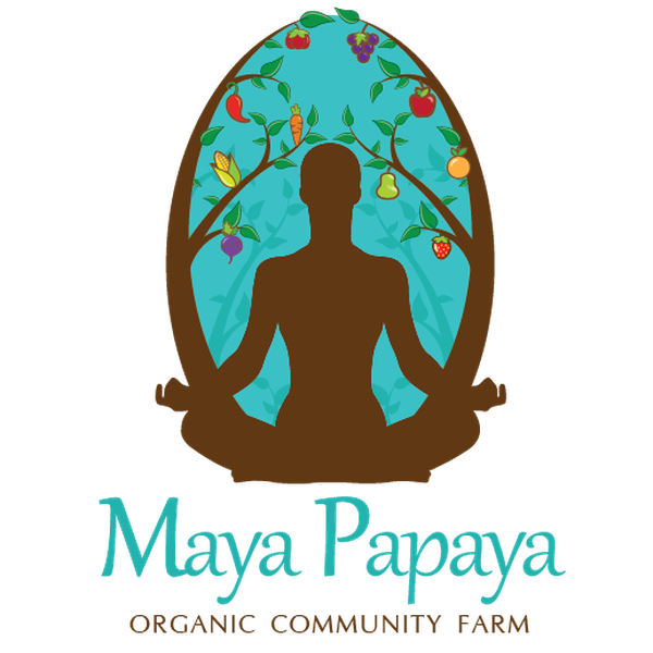 Maya Papaya Organic Community Farm 