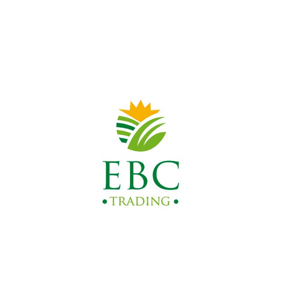 Design by NBD.com.mx titled "Logo Propose EBC"