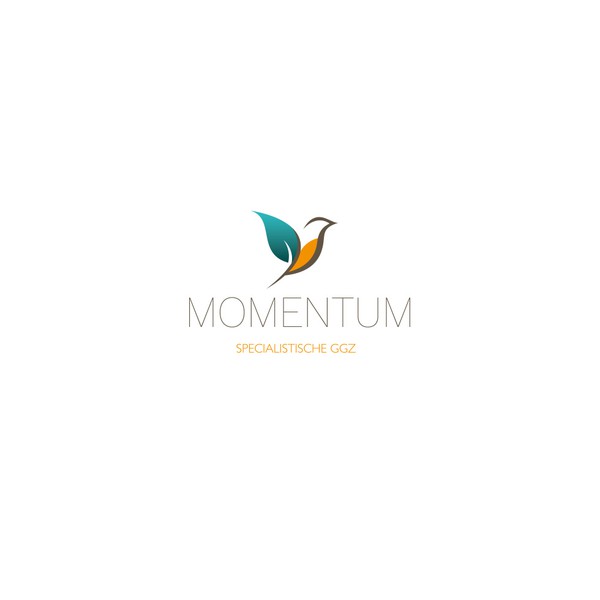 Momentum