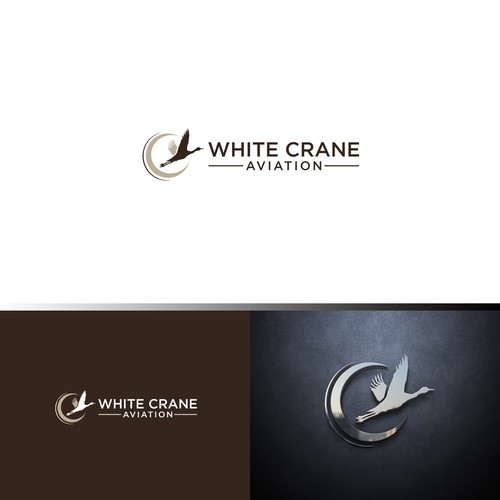 Logo for a Safe and Modern Aircraft rental company Design by ybur10