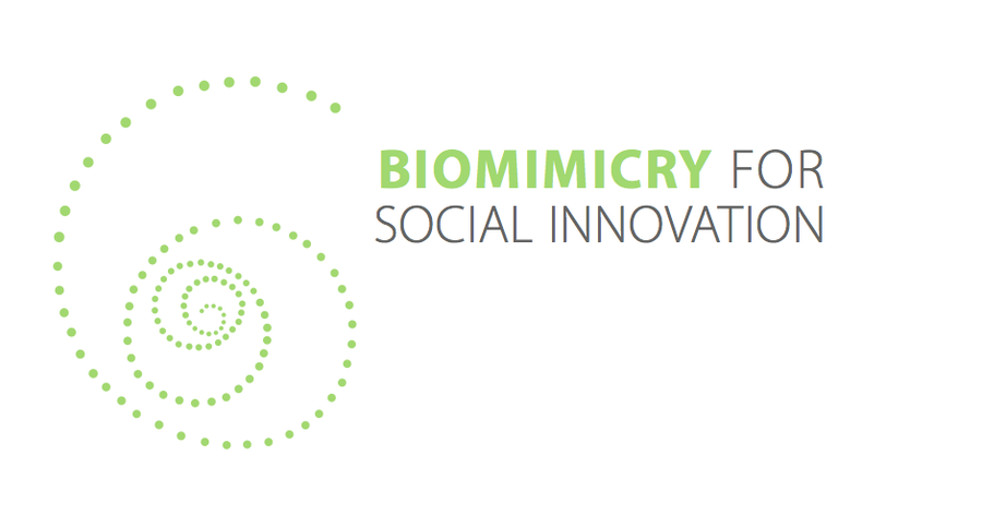 Help Biomimicry for Social Innovation with a new logo | Logo design contest