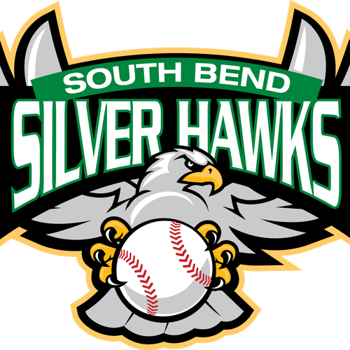 Baseball Team Logo - Silver Hawks | Logo design contest