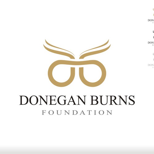 The DB Foundation Logo Design by blueee