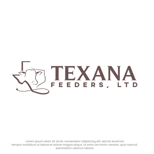 Logo for Texas based cattle operation Design réalisé par noname999