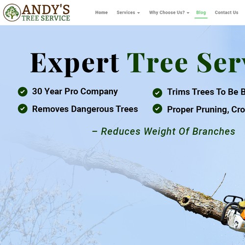 Redesign top section of website Design von Atul-Arts