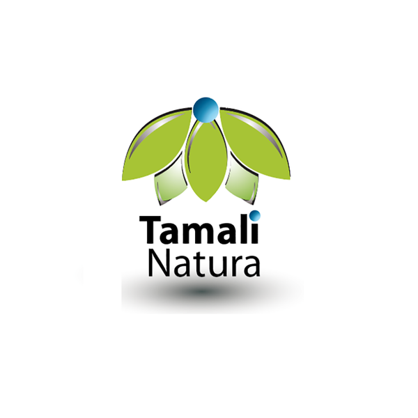 Concept de logo audacieux  numero 2