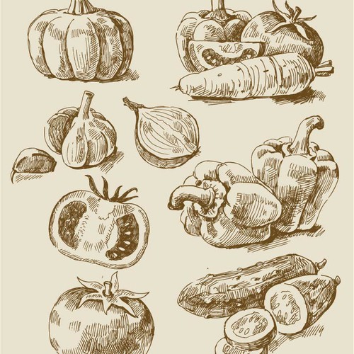 veggie-illustrations [Converted].jpg