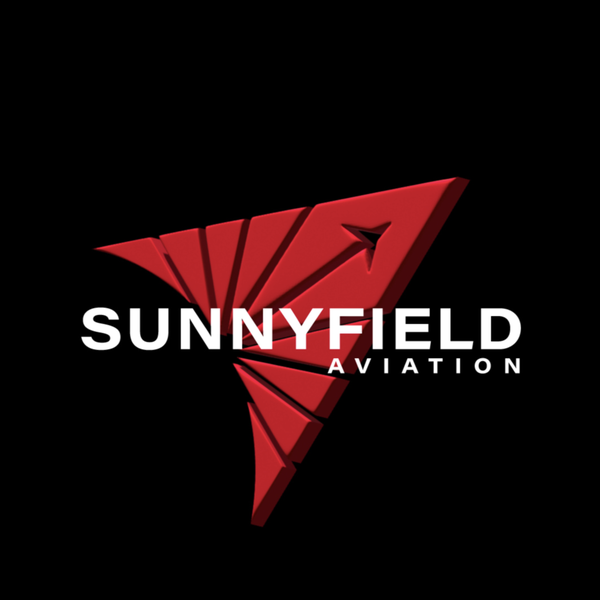 Aviation logo design