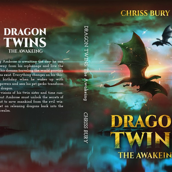 Book cover: DRAGON TWINS