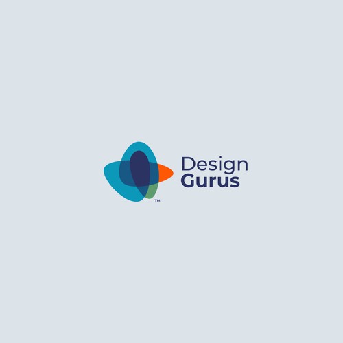 DesignGurus.com  --  NEW AGENCY Design by VisibleGravity™