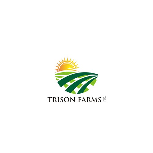 Create a modern logo incorporating 3 suns/agriculture for a well known Canadian marketing company Réalisé par heosemys spinosa