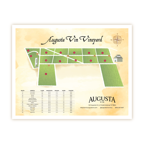 Artist interpretation of a Vineyard map Design by MinhCao