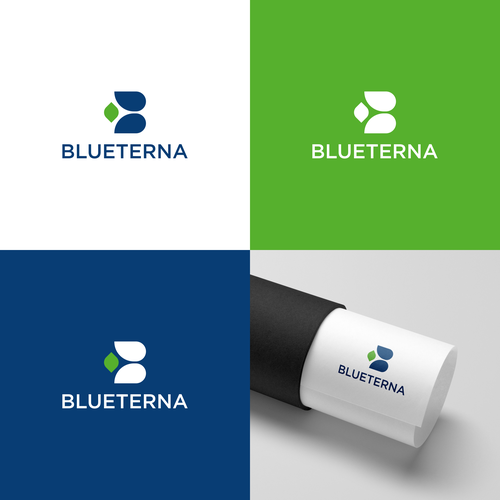 Blueterna Branding contest Design by Lion Black