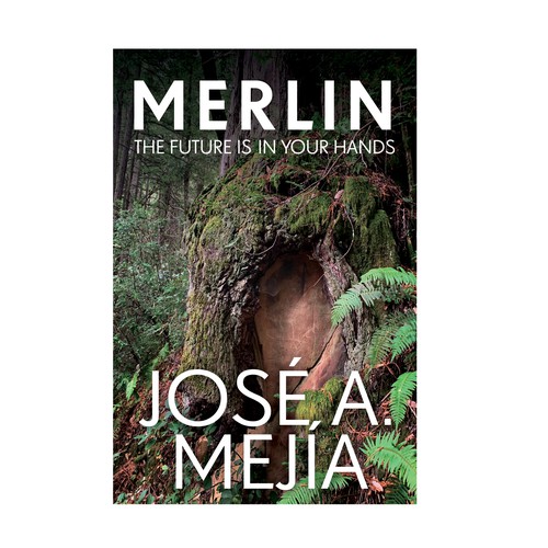 Book Cover Design for a  Personal Development Book Design by TRIWIDYATMAKA