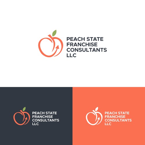 I need a powerful logo and brand image that is memorable, trustworthy, and creative for consulting Diseño de MindPlunge