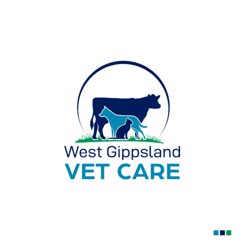 Freshen up our look to fit our renovated mixed animal Veterinary Clinic (update: no horses please) Design by Insfire!