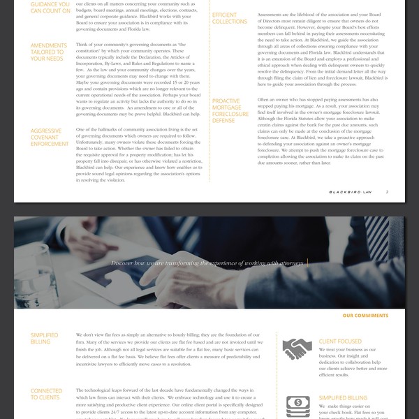 Creat a modern brochure for a modern law firm!