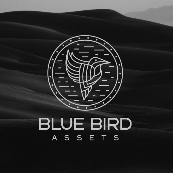 Design by Abdelkrim Djerrah titled "Blue Bird Assets"