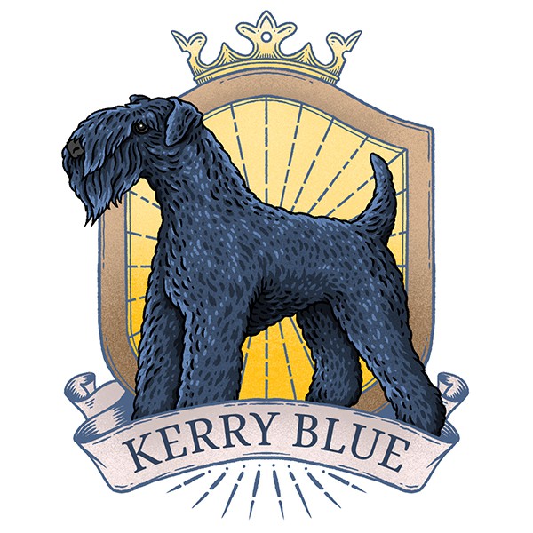Regal Kerry Blue