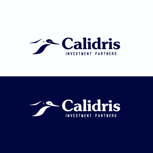 New Private Investment Firm Design by mnuh