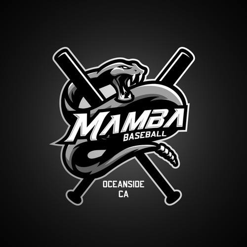 Quick design for youth baseball team Design by Primata Designs