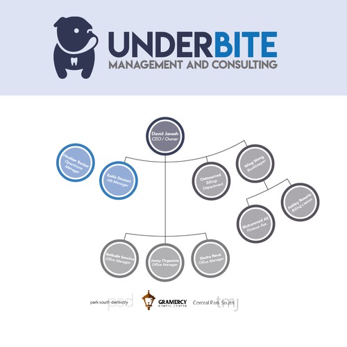 Organizational Chart for Dental Group Design by felixfesign