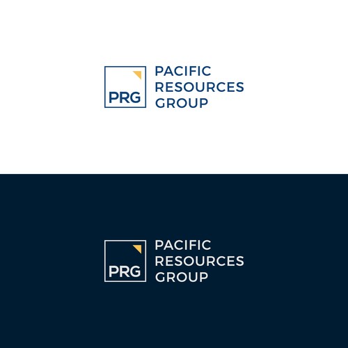 PRG Logo and Brand Guide Design by GraphicAjwa