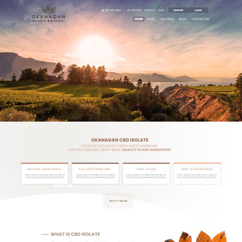 WordPress theme design contest entry by iguads ⭐️