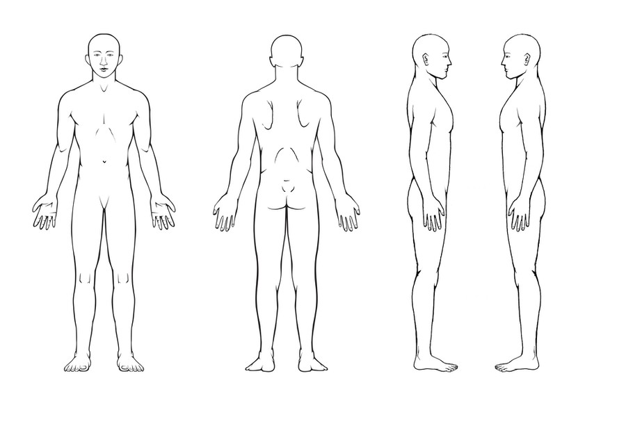 Body Diagram For Professional Massage Chart Front Back Left And Right Views Icon Or Button