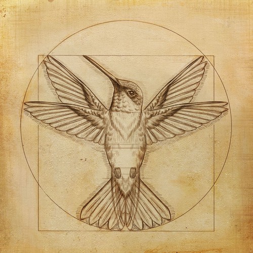 Leonardo da Vinci - Hummingbird Drawing Diseño de wcosta design