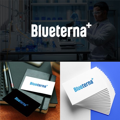 Blueterna Branding contest Design by Imam H.