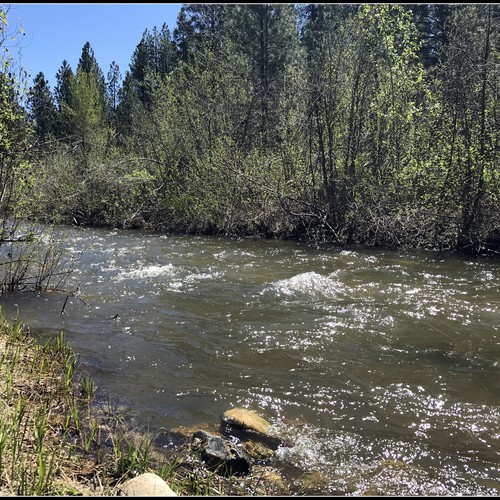 Mores Creek Spring (4).jpg