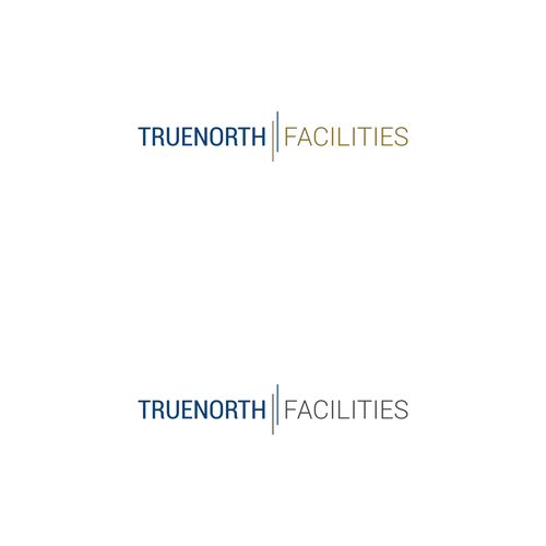 “Modern Brand Identity for a Young, Tech-Enabled Facilities Holding Company”  Alternative variations Design by RMMO™
