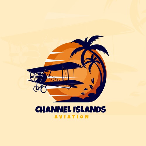 Classic Youthful Flight School catering to future pilots and luxury jet owners Design by VirtualVision ✓