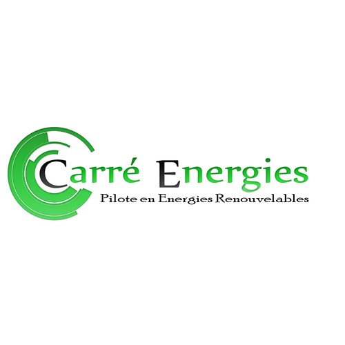 Logo & brand identity pack contest entry by flshlssman