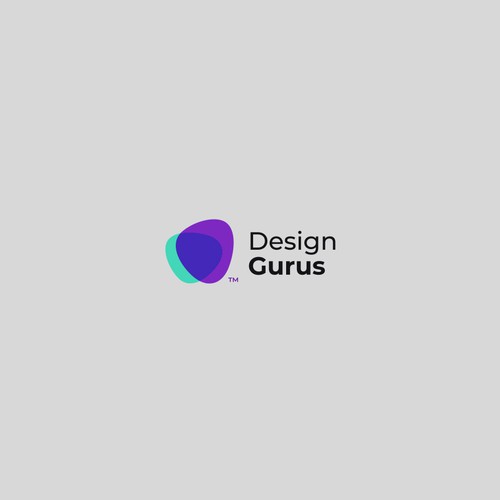 DesignGurus.com  --  NEW AGENCY Design by VisibleGravity™