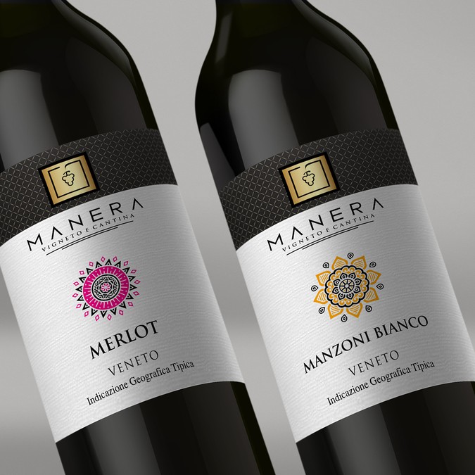 Diseño ganador de Shark1@