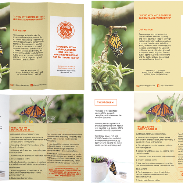 Brochure for butterflies