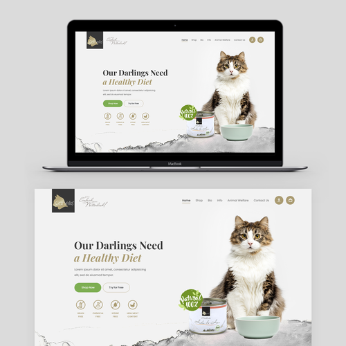 Web page design contest entry by anna.uxui