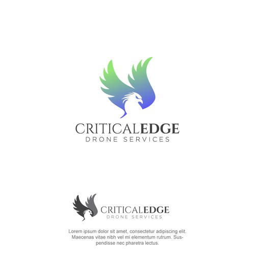 We need a logo design for new Drone inspection and survey company Design by hasnagraphics