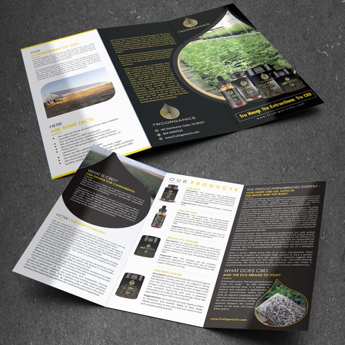 Create a brochure for Tru Organics High CBD Hemp Oil Products