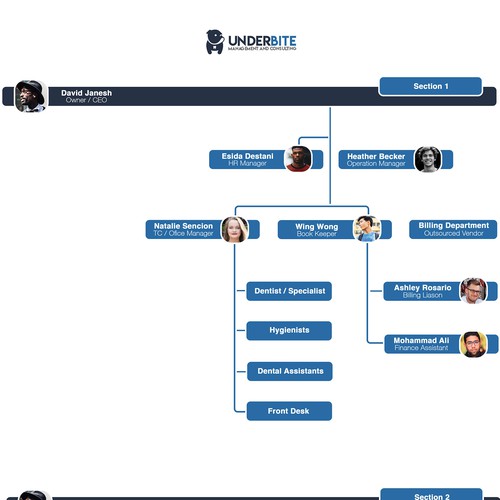 Organizational Chart for Dental Group Design by Noah E.