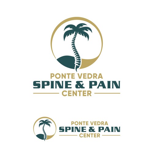 Spine and Pain Medical Practice in Florida Design by jemma1949