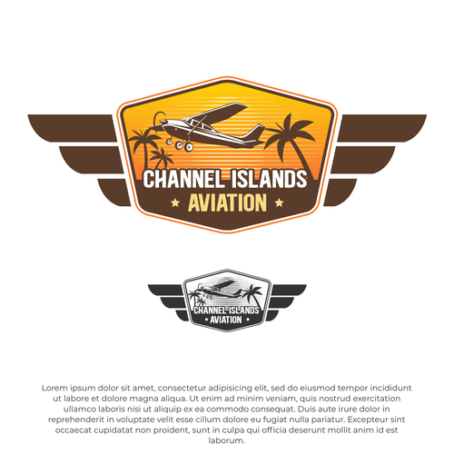 Classic Youthful Flight School catering to future pilots and luxury jet owners Design by Rav Astra