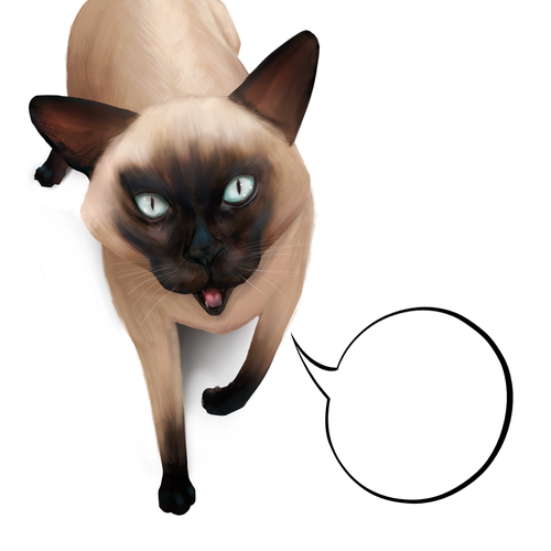 Design finalista por Sanselmi