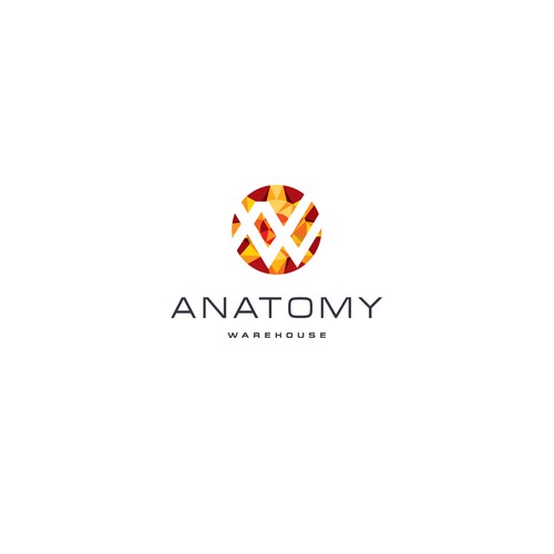 Anatomical Model Co. Looking for Creative, Modern Yet Timeless Logo With Human Anatomy Design by adisign09