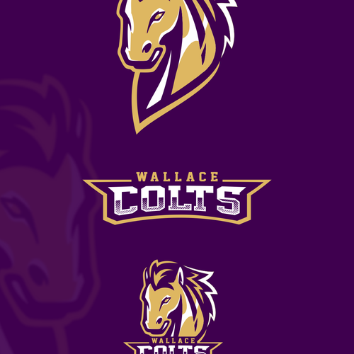 Wallace Middle School Colts Diseño de SYFL_