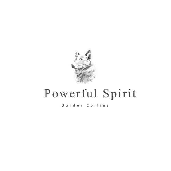 Design by neathyra titled "animal spirit"